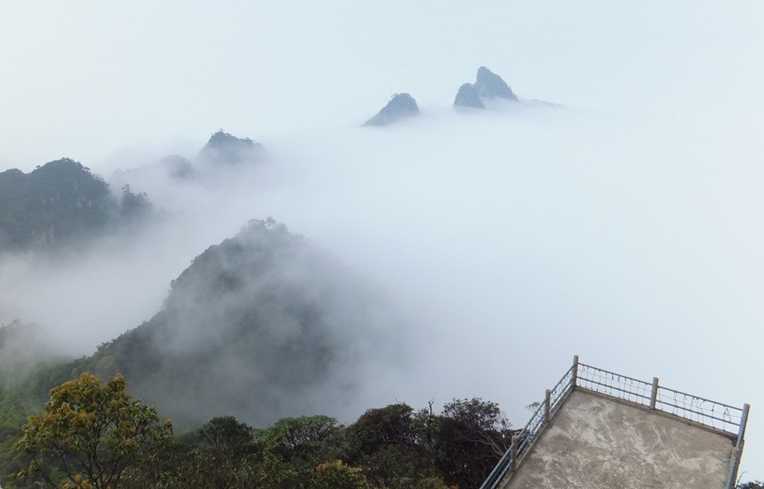 莽山、森林温泉汽车三天纯玩团（经济团）